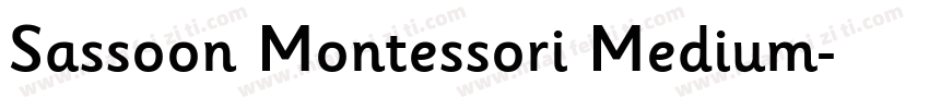 Sassoon Montessori Medium字体转换